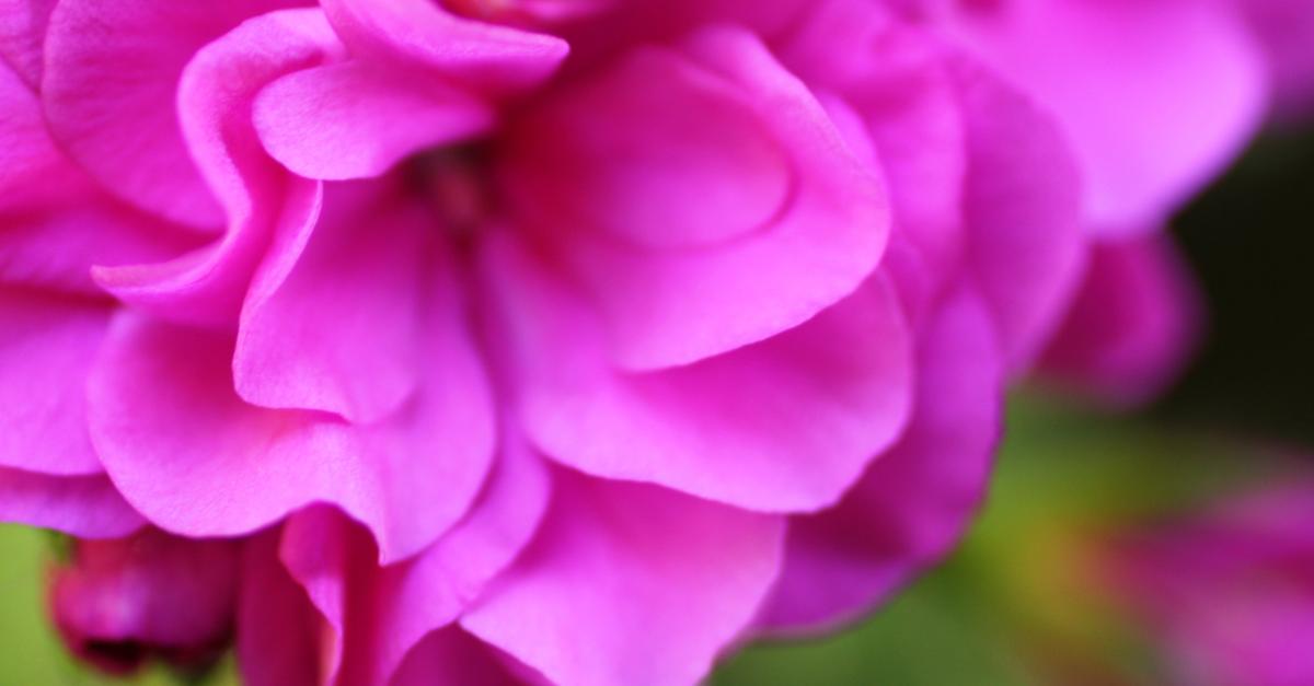 Life science, food engineering